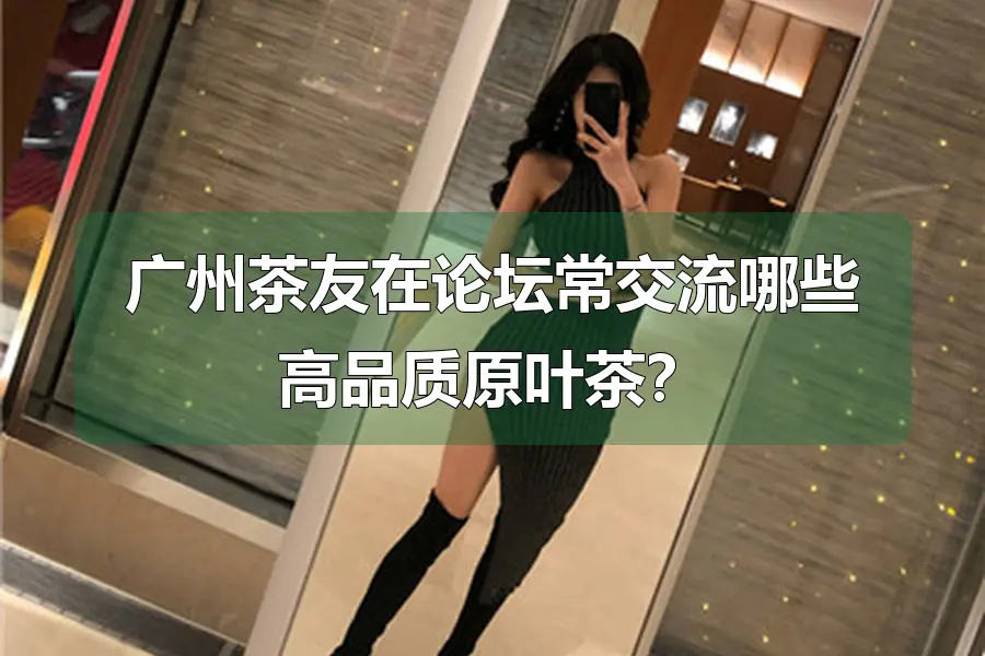 广州茶友在论坛常交流哪些高品质原叶茶？